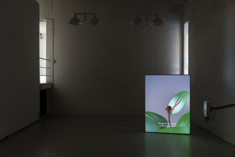 Installation View, "Virtual Perception" - HKFD, Holstebro, Denmark